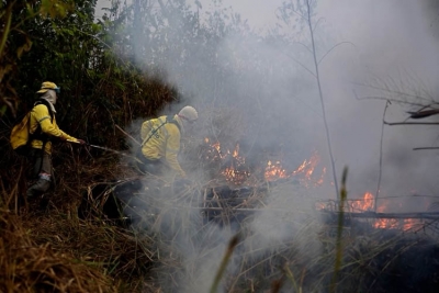 La Amazonía y las claves de un paraíso medioambiental en llamas